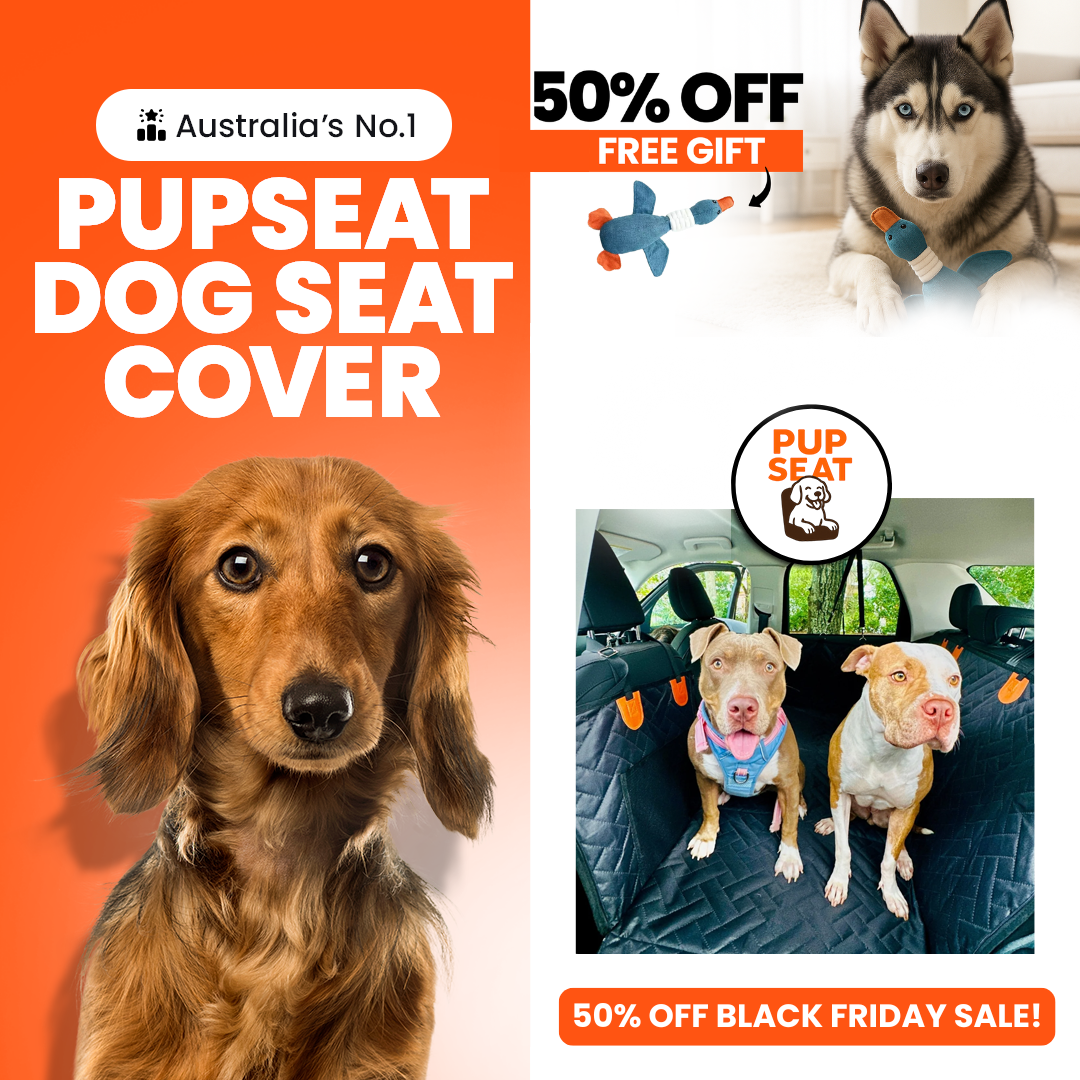 PupSeat Dog Seat Cover